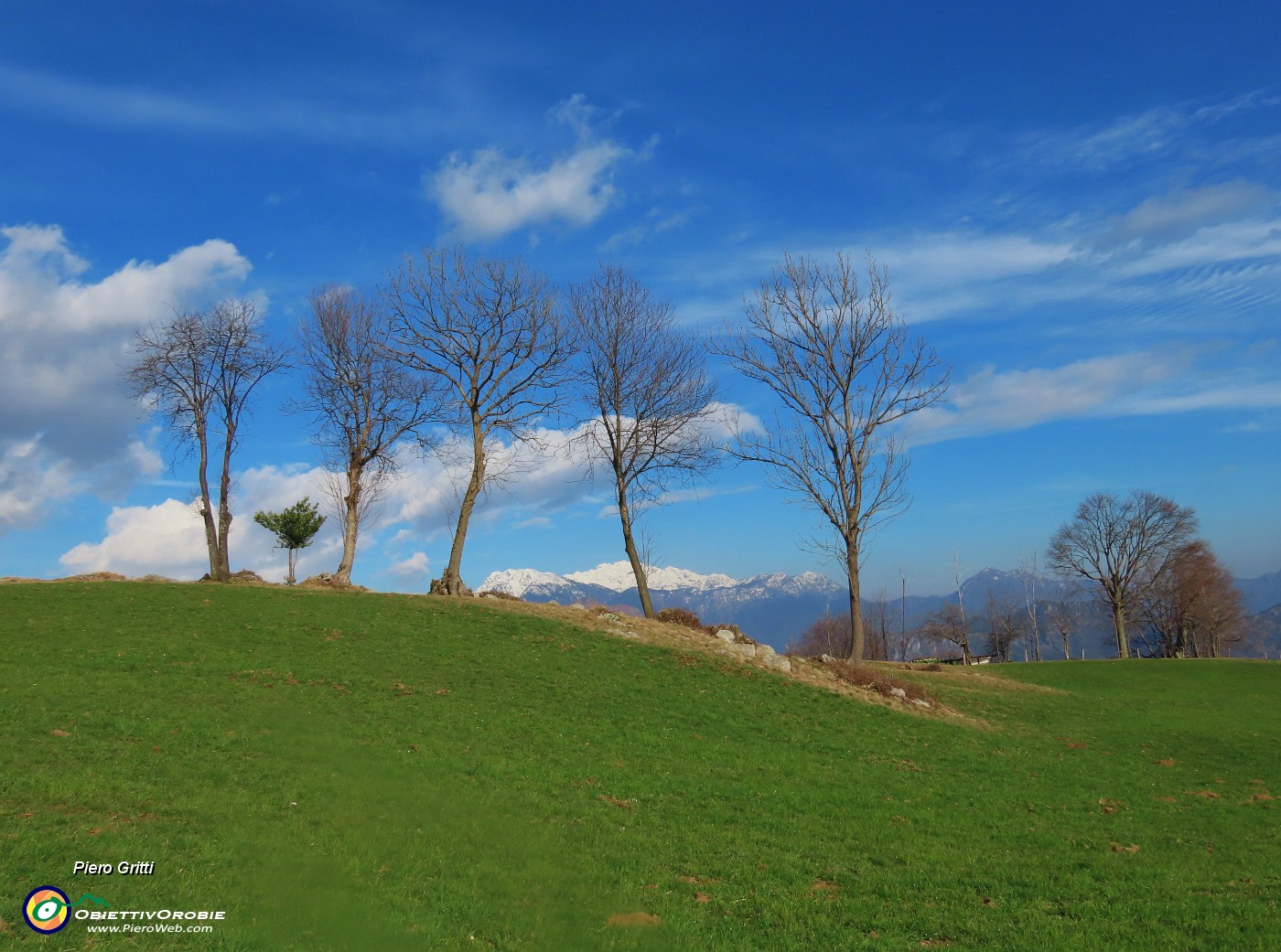 62 Sugli ampi verdi pascoli panoramici del Ronco.JPG
